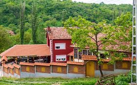 Villa Lola & Nikola